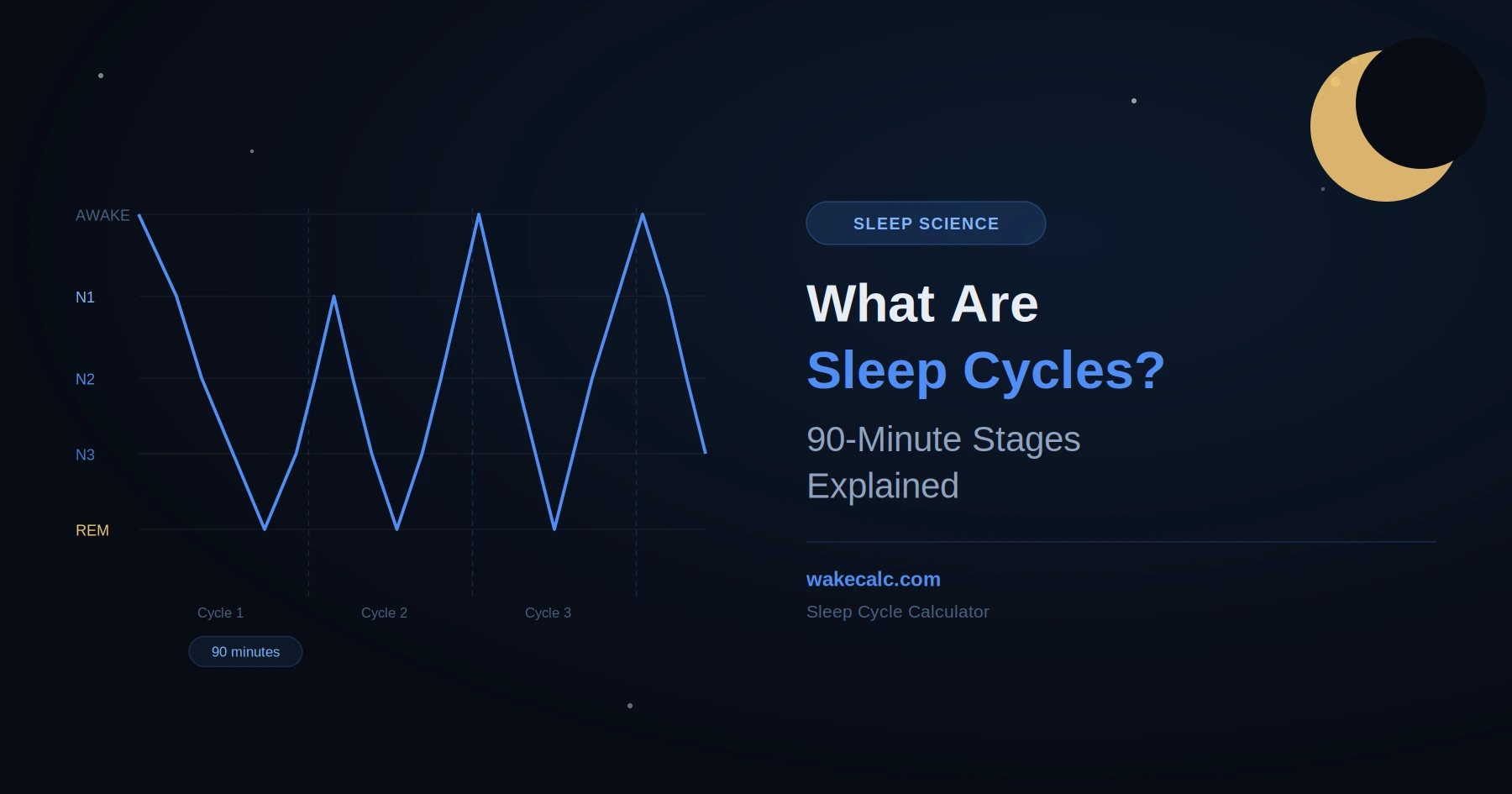 What are sleep cycles 90 minute stages explained diagram