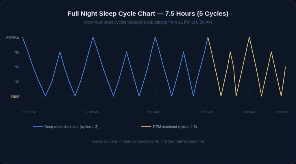 full night sleep cycle chart showing 5 complete 90 minute cycles from 11pm to 6:30am